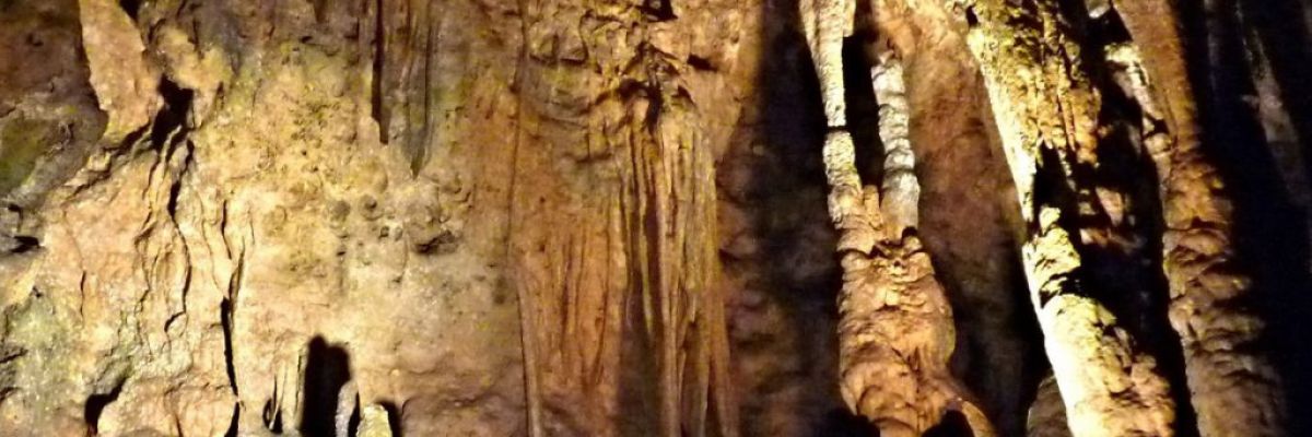 Galleria delle meraviglie e Sala delle Colonne